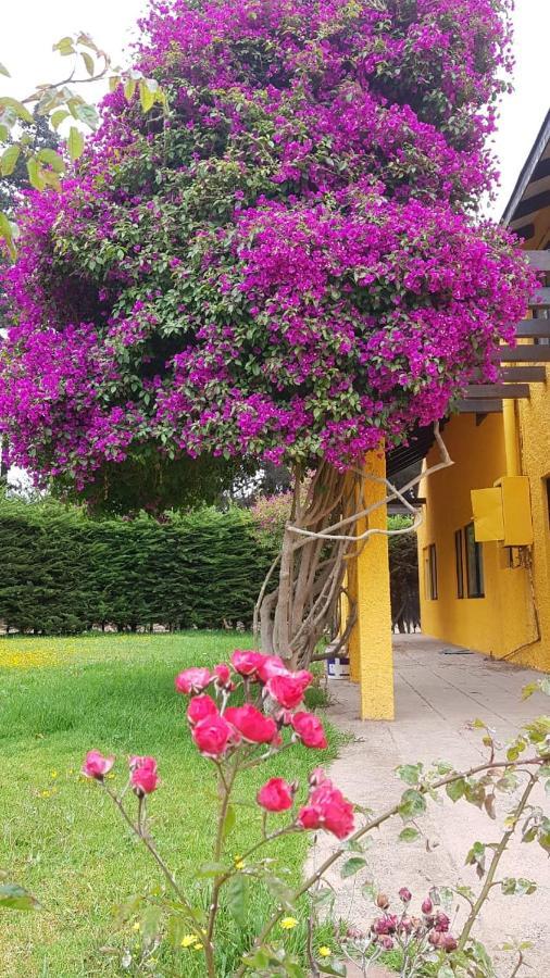 Felice Guest House La Serena Exterior foto
