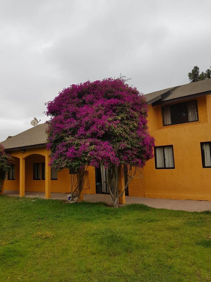 Felice Guest House La Serena Exterior foto